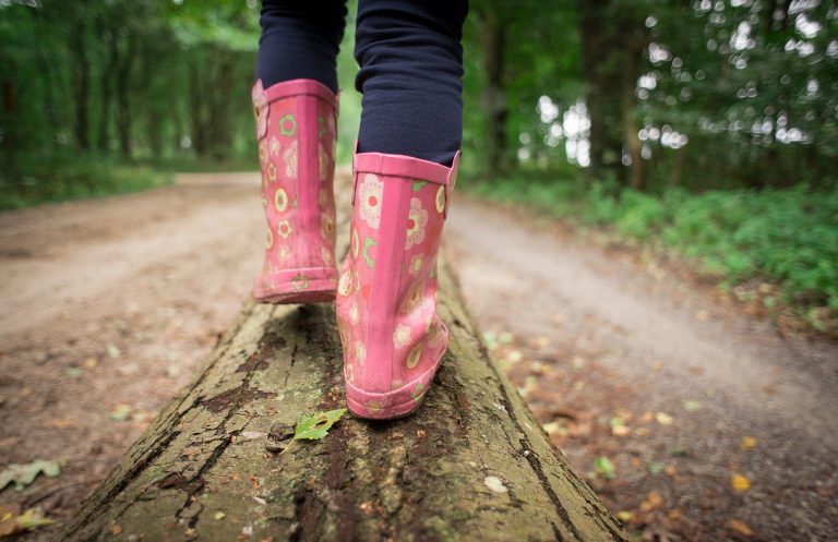 promenade en forêt